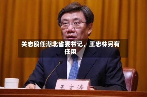 关志鸥任湖北省委书记，王忠林另有任用-第2张图片