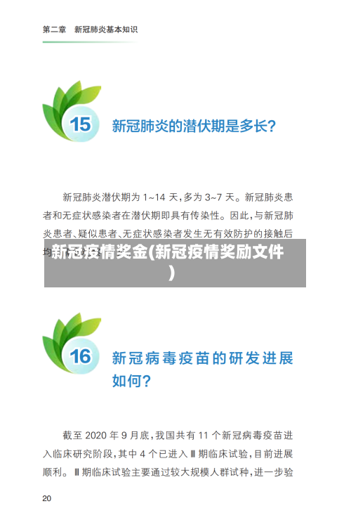 新冠疫情奖金(新冠疫情奖励文件)