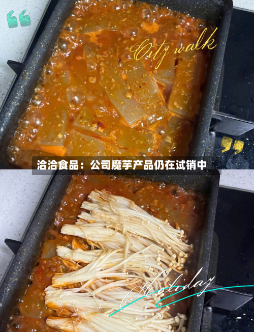 洽洽食品:公司魔芋产品仍在试销中