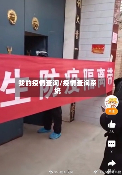 我的疫情查询/疫情查询系统
