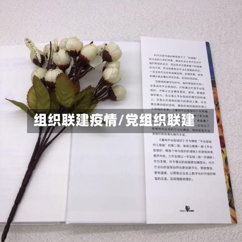 组织联建疫情/党组织联建