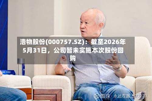 浩物股份(000757.SZ):截至2026年5月31日,公司暂未实施本次股份回购
