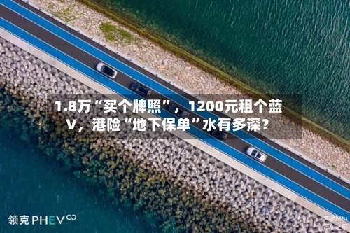 1.8万“买个牌照”	，1200元租个蓝V，港险“地下保单	”水有多深？-第3张图片