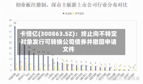 卡倍亿(300863.SZ):终止向不特定对象发行可转换公司债券并撤回申请文件