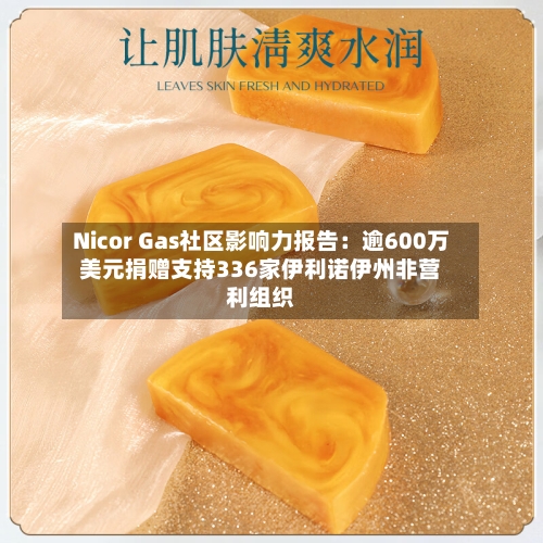 Nicor Gas社区影响力报告：逾600万美元捐赠支持336家伊利诺伊州非营利组织-第2张图片