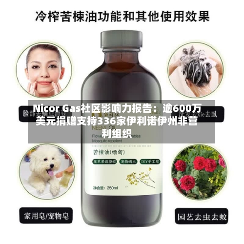 Nicor Gas社区影响力报告：逾600万美元捐赠支持336家伊利诺伊州非营利组织-第3张图片