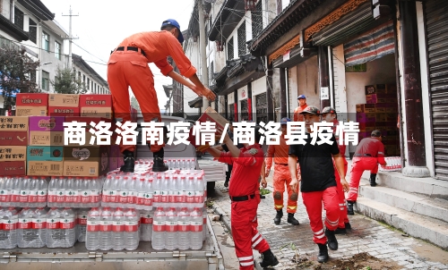 商洛洛南疫情/商洛县疫情