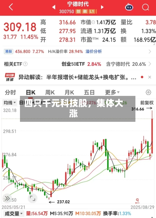 四只千元科技股，集体大涨-第3张图片