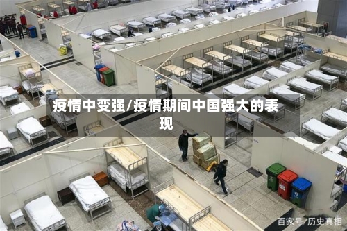 疫情中变强/疫情期间中国强大的表现