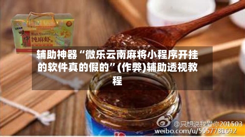 辅助神器“微乐云南麻将小程序开挂的软件真的假的”(作弊)辅助透视教程