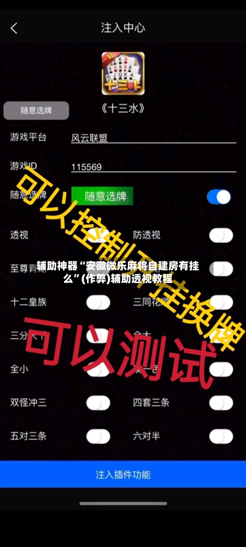 辅助神器“安徽微乐麻将自建房有挂么”(作弊)辅助透视教程