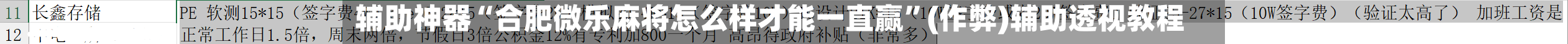 辅助神器“合肥微乐麻将怎么样才能一直赢”(作弊)辅助透视教程