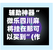 辅助神器“微乐四川麻将挂在那可以买到”(作弊)辅助透视教程-第2张图片