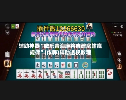 辅助神器“微乐青海麻将自建房输赢规律”(作弊)辅助透视教程