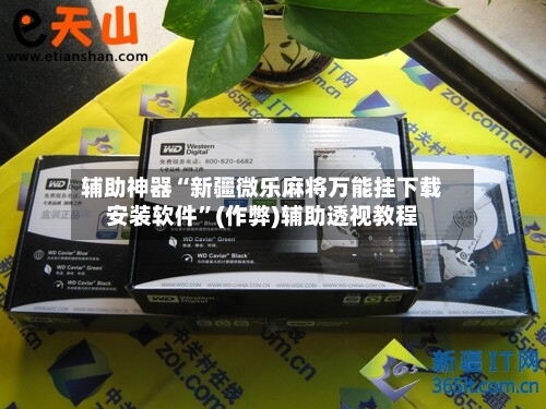 辅助神器“新疆微乐麻将万能挂下载安装软件”(作弊)辅助透视教程-第3张图片