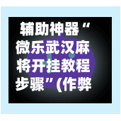 辅助神器“微乐武汉麻将开挂教程步骤”(作弊)辅助透视教程-第3张图片