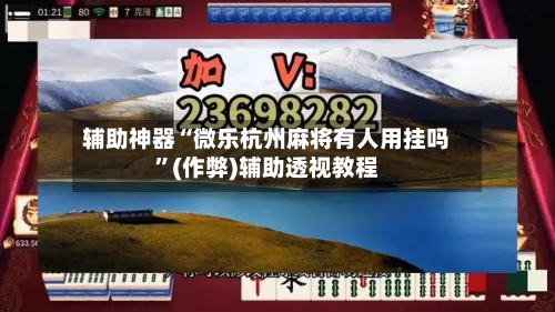 辅助神器“微乐杭州麻将有人用挂吗”(作弊)辅助透视教程-第3张图片