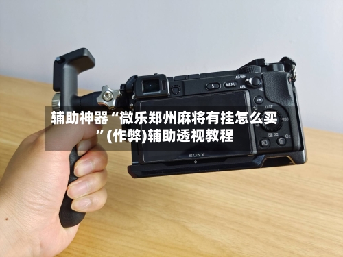 辅助神器“微乐郑州麻将有挂怎么买”(作弊)辅助透视教程-第2张图片