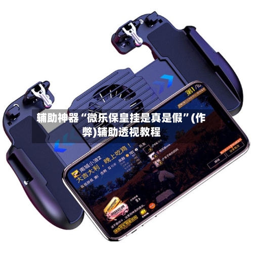 辅助神器“微乐保皇挂是真是假”(作弊)辅助透视教程-第2张图片