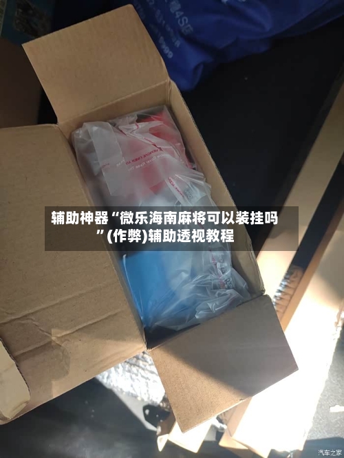 辅助神器“微乐海南麻将可以装挂吗”(作弊)辅助透视教程