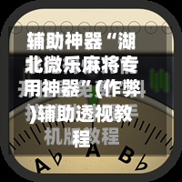 辅助神器“湖北微乐麻将专用神器”(作弊)辅助透视教程-第2张图片