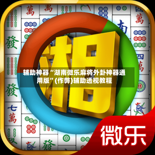 辅助神器“湖南微乐麻将外卦神器通用版”(作弊)辅助透视教程