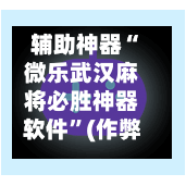 辅助神器“微乐武汉麻将必胜神器软件”(作弊)辅助透视教程-第2张图片