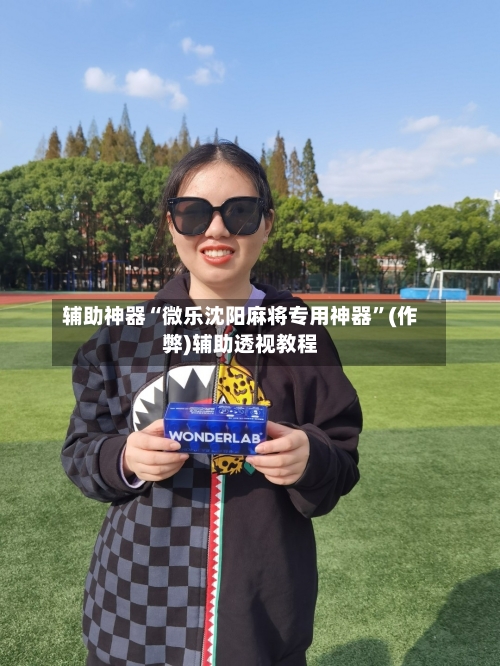 辅助神器“微乐沈阳麻将专用神器”(作弊)辅助透视教程-第3张图片