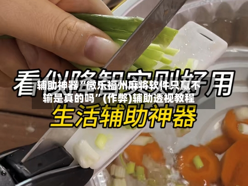 辅助神器“微乐福州麻将软件只赢不输是真的吗”(作弊)辅助透视教程-第2张图片