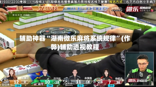 辅助神器“湖南微乐麻将系统规律”(作弊)辅助透视教程-第2张图片