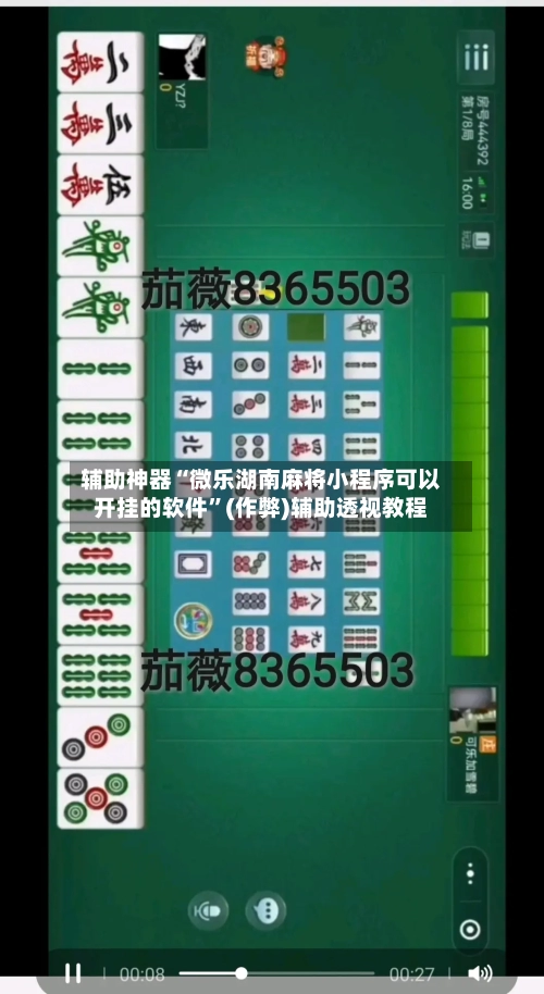 辅助神器“微乐湖南麻将小程序可以开挂的软件”(作弊)辅助透视教程