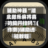 辅助神器“湖北微乐麻将真的能开挂吗	”(作弊)辅助透视教程-第3张图片
