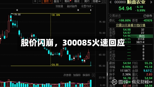 股价闪崩	，300085火速回应-第2张图片