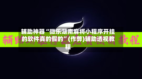 辅助神器“微乐湖南麻将小程序开挂的软件真的假的”(作弊)辅助透视教程-第2张图片