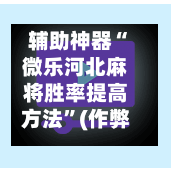 辅助神器“微乐河北麻将胜率提高方法”(作弊)辅助透视教程-第2张图片