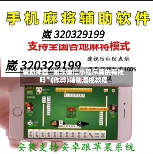 辅助神器“微乐微信小程序真的有挂吗	”(作弊)辅助透视教程-第3张图片