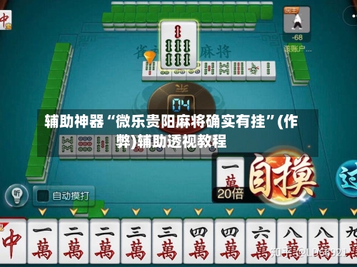 辅助神器“微乐贵阳麻将确实有挂”(作弊)辅助透视教程-第3张图片