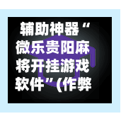 辅助神器“微乐贵阳麻将开挂游戏软件	”(作弊)辅助透视教程-第2张图片