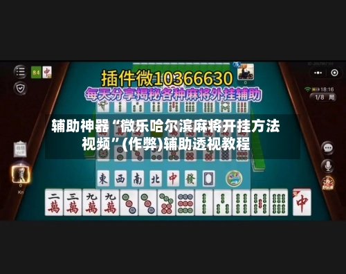 辅助神器“微乐哈尔滨麻将开挂方法视频”(作弊)辅助透视教程