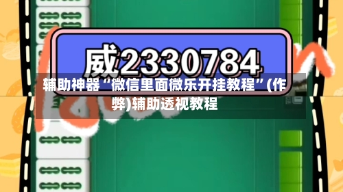 辅助神器“微信里面微乐开挂教程”(作弊)辅助透视教程-第3张图片