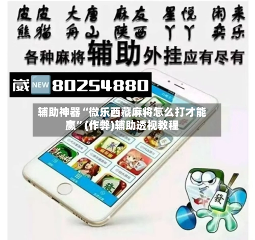辅助神器“微乐西藏麻将怎么打才能赢”(作弊)辅助透视教程-第2张图片