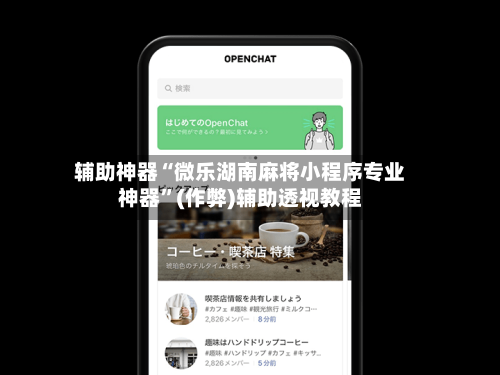 辅助神器“微乐湖南麻将小程序专业神器”(作弊)辅助透视教程-第2张图片
