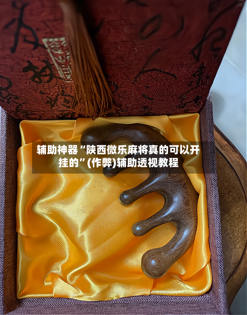 辅助神器“陕西微乐麻将真的可以开挂的”(作弊)辅助透视教程