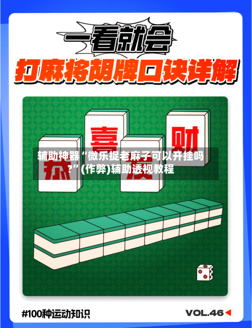 辅助神器“微乐捉老麻子可以开挂吗?”(作弊)辅助透视教程