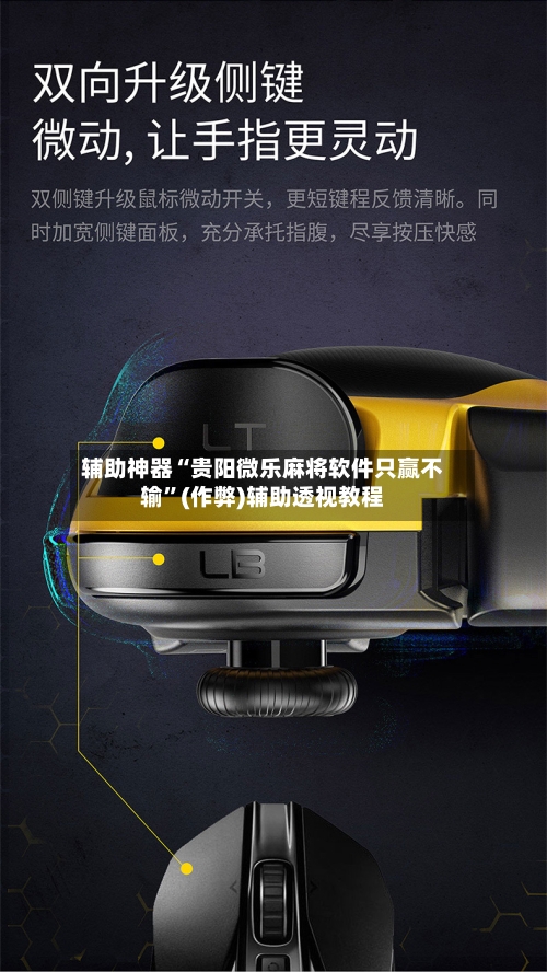 辅助神器“贵阳微乐麻将软件只赢不输”(作弊)辅助透视教程-第3张图片
