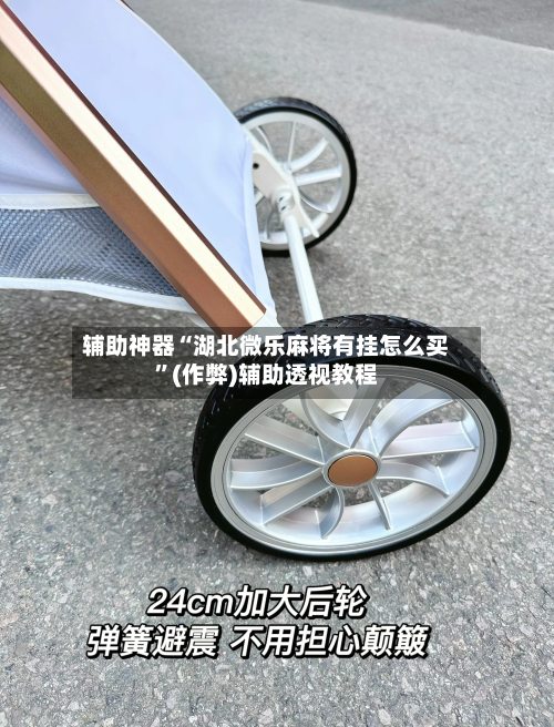 辅助神器“湖北微乐麻将有挂怎么买”(作弊)辅助透视教程