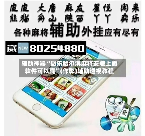 辅助神器“微乐哈尔滨麻将安装上面软件可以赢	”(作弊)辅助透视教程-第2张图片