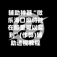 辅助神器“微乐海口麻将挂在那里可以买到”(作弊)辅助透视教程-第2张图片