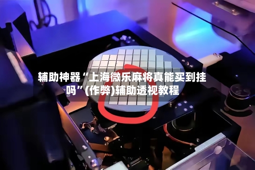 辅助神器“上海微乐麻将真能买到挂吗”(作弊)辅助透视教程-第2张图片