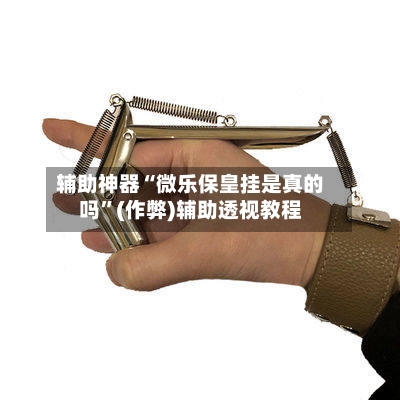 辅助神器“微乐保皇挂是真的吗”(作弊)辅助透视教程-第3张图片